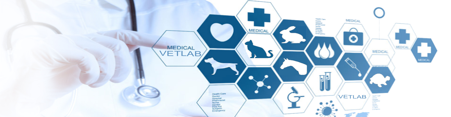 VETLAB